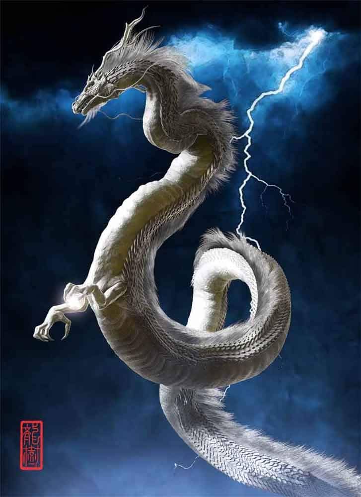 龍の絵 Amazon.co.jp: 龍の絵 「稲妻と白龍1」 A4 竜の絵 : ホーム＆キッチン